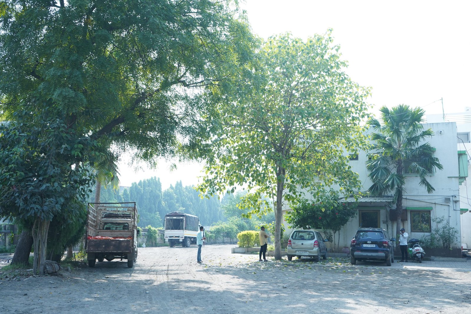 video background